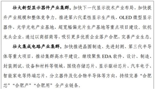 合肥 以人工智能應用軟件開發為引擎，賦能支柱產業高質量發展